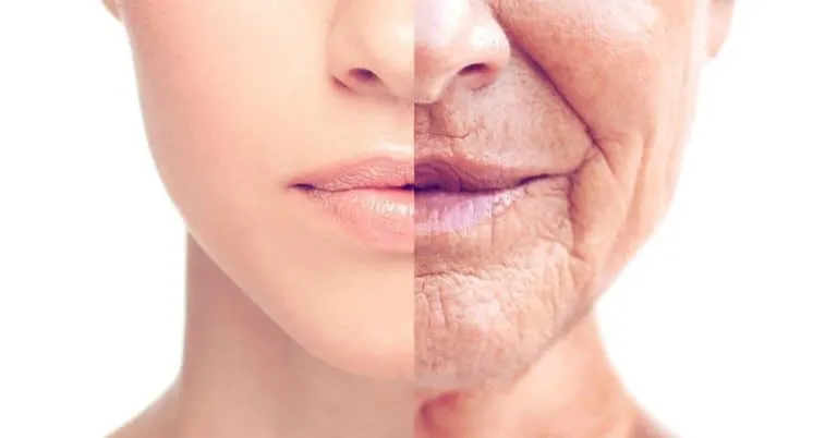 Can The Aging-Process Be Reversed?