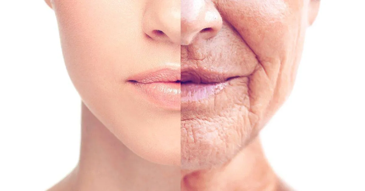 reverse the aging process