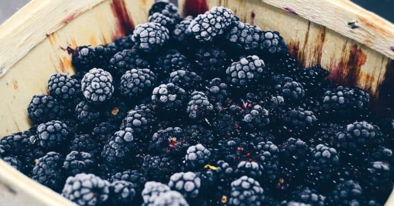 Super Food Spotlight: Blackberries